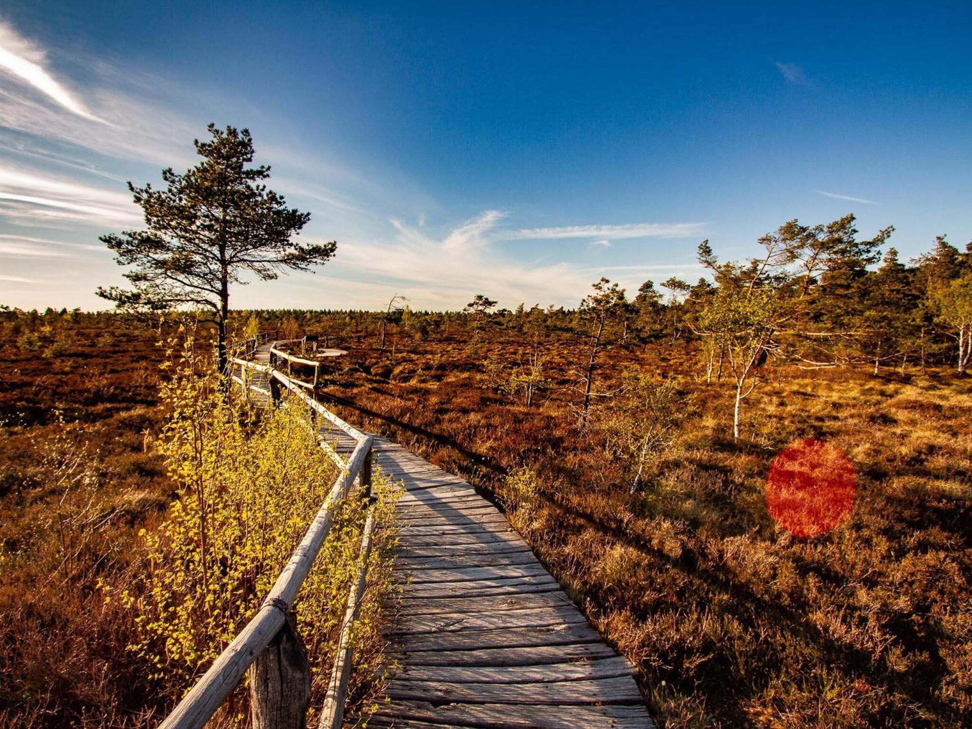 Feriendorf Wasserkuppe Abtsroda Eksteriør bilde